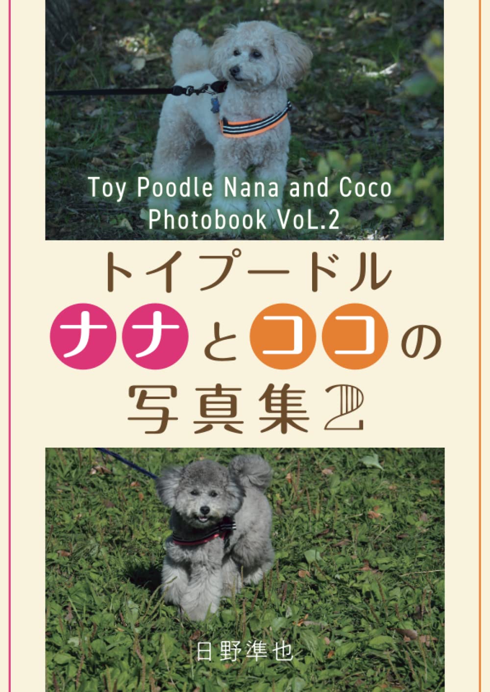 トイプードル ナナとココの写真集-2（ナナ；1歳～1歳6か月 ココ；6か月